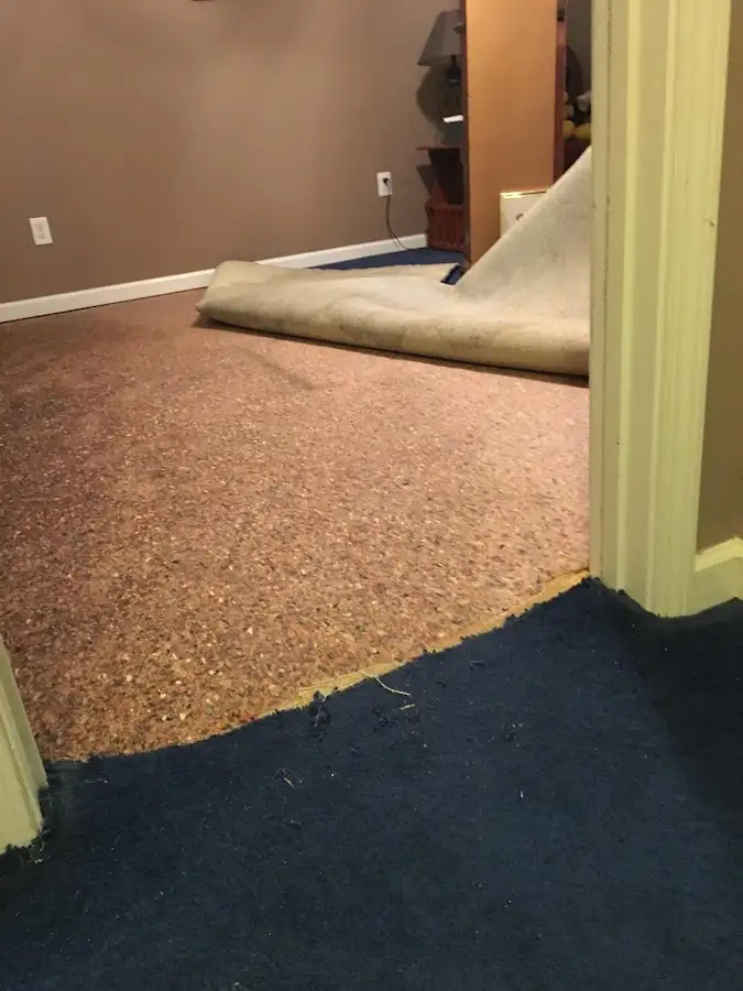 Carpet pad removal revealing water damage during Drying & Dehumidification in Greenacres