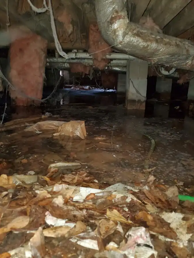 Crawl space flood assessment for Leak Detection & Repair in Greenacres